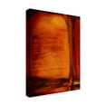 thumbnail image 2 of Trademark Fine Art 'Red Dawn I' Canvas Art by Erin Ashley, 2 of 4