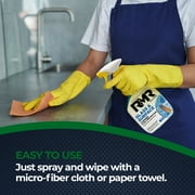 RMR 2-in-1 Glass and Surface Cleaner Plus Repellent, 32 Fl. Oz.