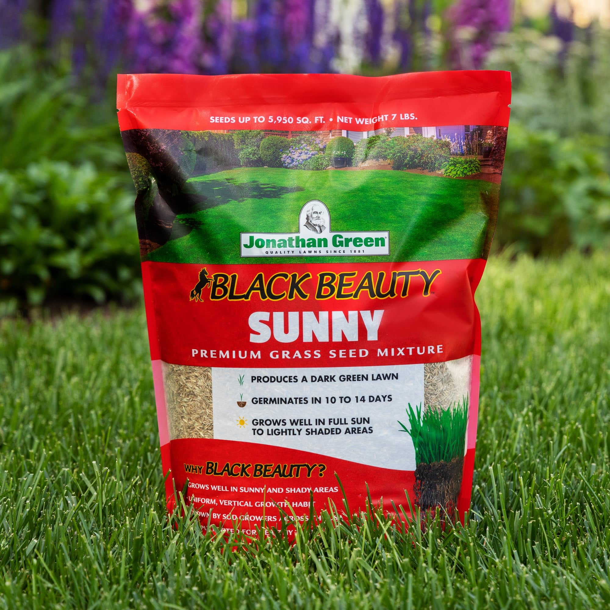 Jonathan Green Black Beauty 25 Lb. 10,625 Sq. Ft. Coverage Full Sun Grass Seed