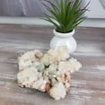 thumbnail image 2 of Crystal Joys Apophyllite Cluster – Size Variants 3" to 10" – Ethically Sourced from Brazil, 2 of 7