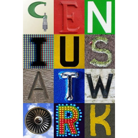 Genius at Work (Paperback)