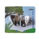 thumbnail image 1 of Cuchilla SK5 Accesorio de herramienta de injerto de jardín para el hogar con hoja SK5, diámetro máximo de 20mm, cortador de ramas de árboles frutales, tijeras de podar profesionales, accesorio de dis Irfora Cuchilla SK5, 1 of 7