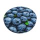 thumbnail image 1 of Balery Fresh Blueberries Fundas de asiento para taburete de bar redondo de tela de terciopelo ajustables que protegen de arañazos y manchas para sillas de 14 a 17 pulgadas.-13 inch, 1 of 7
