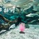 thumbnail image 4 of BESTYASH De Coral Artificial Rosa Para Acuario Y Accesorios De Paisaje Acuático, 4 of 6