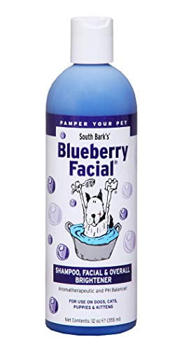 blueberry facial dog shampoo