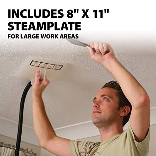 Wagner power steamer 715 manual deals