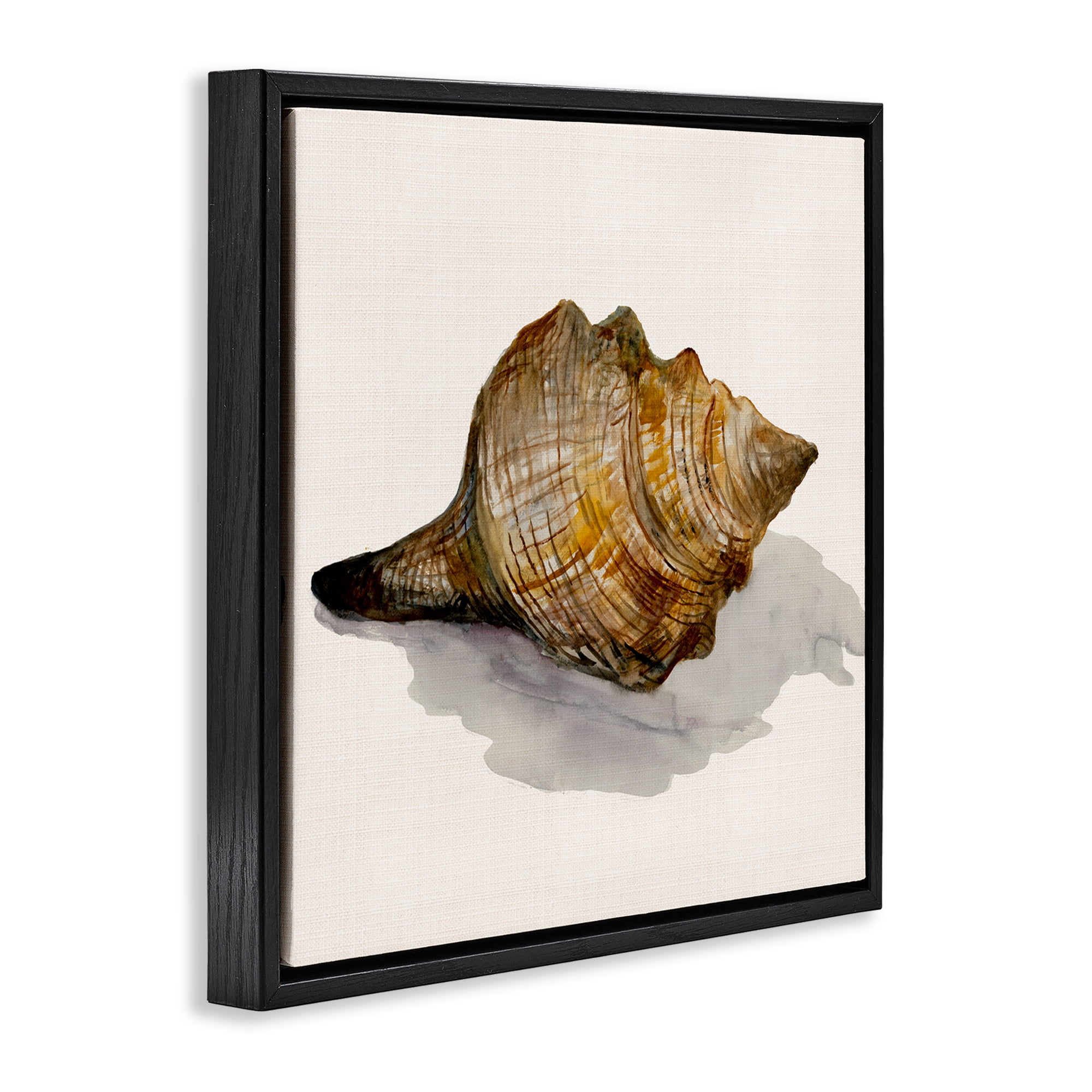 Stupell Industries Conch Shell on Beige Nautical & Beach Painting Black Floater Framed Canvas Art Print Wall Art, 25 x 25