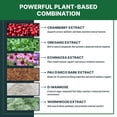 thumbnail image 6 of MaxBuddy Intestinal Defense Herbal Drops for Dogs & Cats - Wormwood & Black Walnut, Gut Wellness & Digestive Support, All Breeds & Sizes, 6 of 8