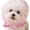 Pink, variant on Anti Eating Cover for Small Dog and Cats Dogs Head Protector Cat Face Guard Head Net Mesh Snood Prevent Thorns Sticks Rocks