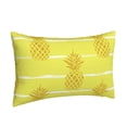 thumbnail image 2 of Daiia Gold Pineapple Bedding Waterproof Pillow Protector Zippered Queen – Bed Bug Proof Pillow Encasement-14"x20", 2 of 9