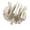 ethmoid bone, variant on Human Skeleton Model for Anatomy Ethmoid Bone Model Teaching Aid Practical Temporal Bone Model Hospital Supplies