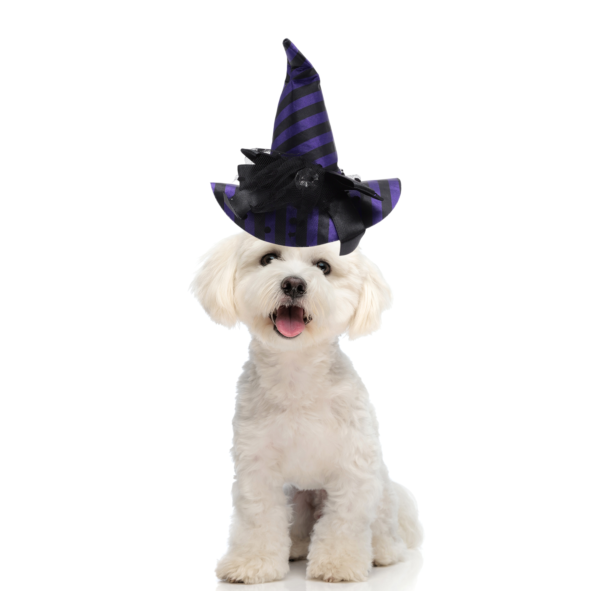 Unique Bargains Halloween Pet Holiday Headdress 5.12x5.91 Purple Accessory for Pets