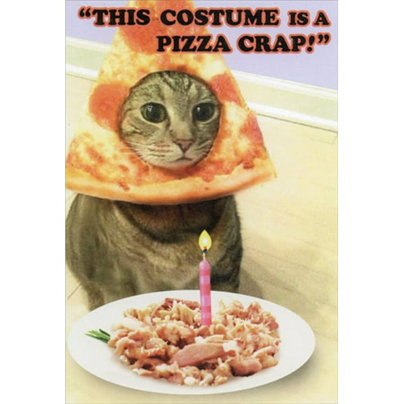 Recycled Paper Greetings Cat Wearing Pizza Costume Funny / Humorous Halloween Birthday Card