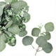 thumbnail image 3 of 24 piezas de ramas de eucalipto artificiales, hojas de eucalipto redondas con flores blancas, decoración artificial para bodas, 3 of 12