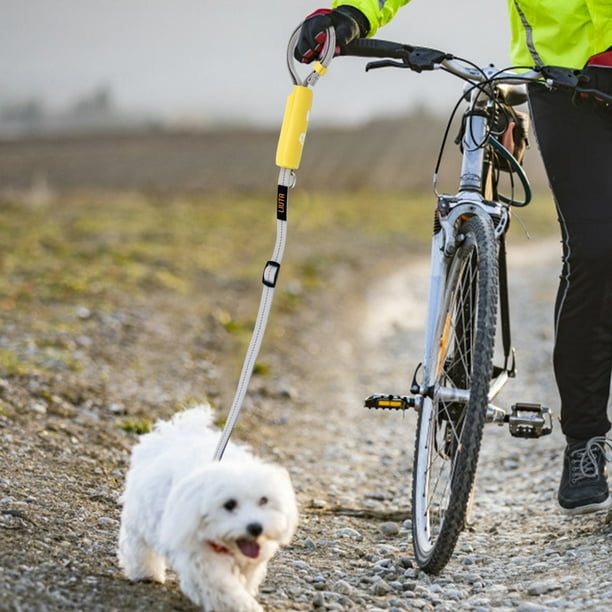 Dog cycling harness cheap