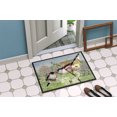 thumbnail image 2 of Carolines Treasures ASA2200MAT Seins à Longue Queue Tapis Intérieur Ou Extérieur- 18 x 27, 2 of 4