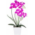 Orchid LampLed Lighted Orchid Arrangements,Pre Lit Artificial Orchid