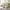 Beige, variant on Modway Lily Tufted Headboard, Full, White