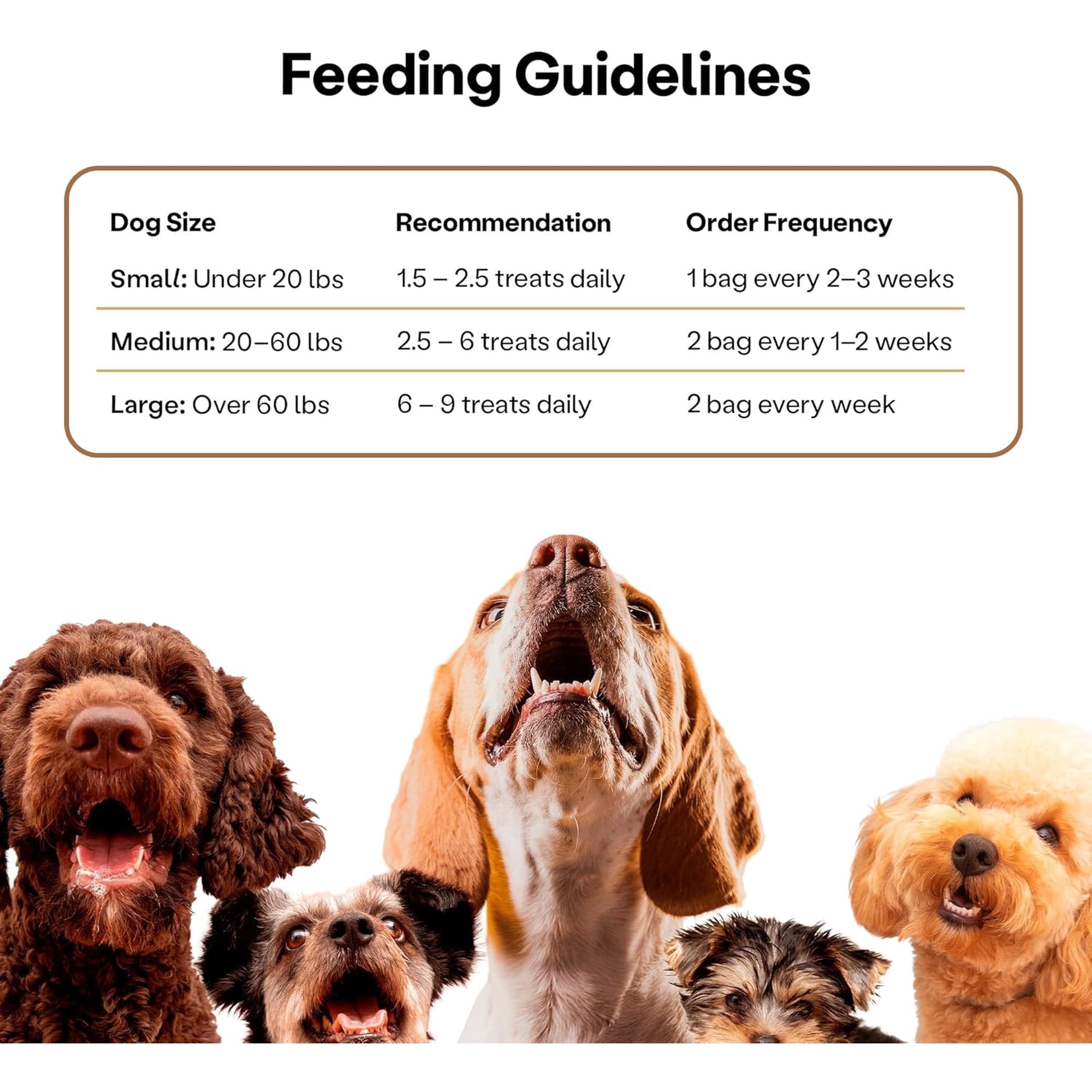 Wild Earth Superfood Dog Treats, Plant Based Dog Treats with Omega Acids, Prebiotics & Koji Protein, No Fillers, Veterinarian-Developed, Peanut Butter Flavor 3 Pack