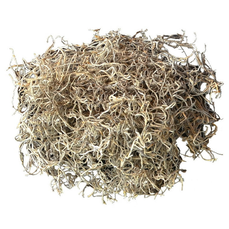 Mosser Lee 250 cu. in. Spanish Moss Soil Cover Mosser Lee 250 cu. in. Spanish Moss Soil Cover