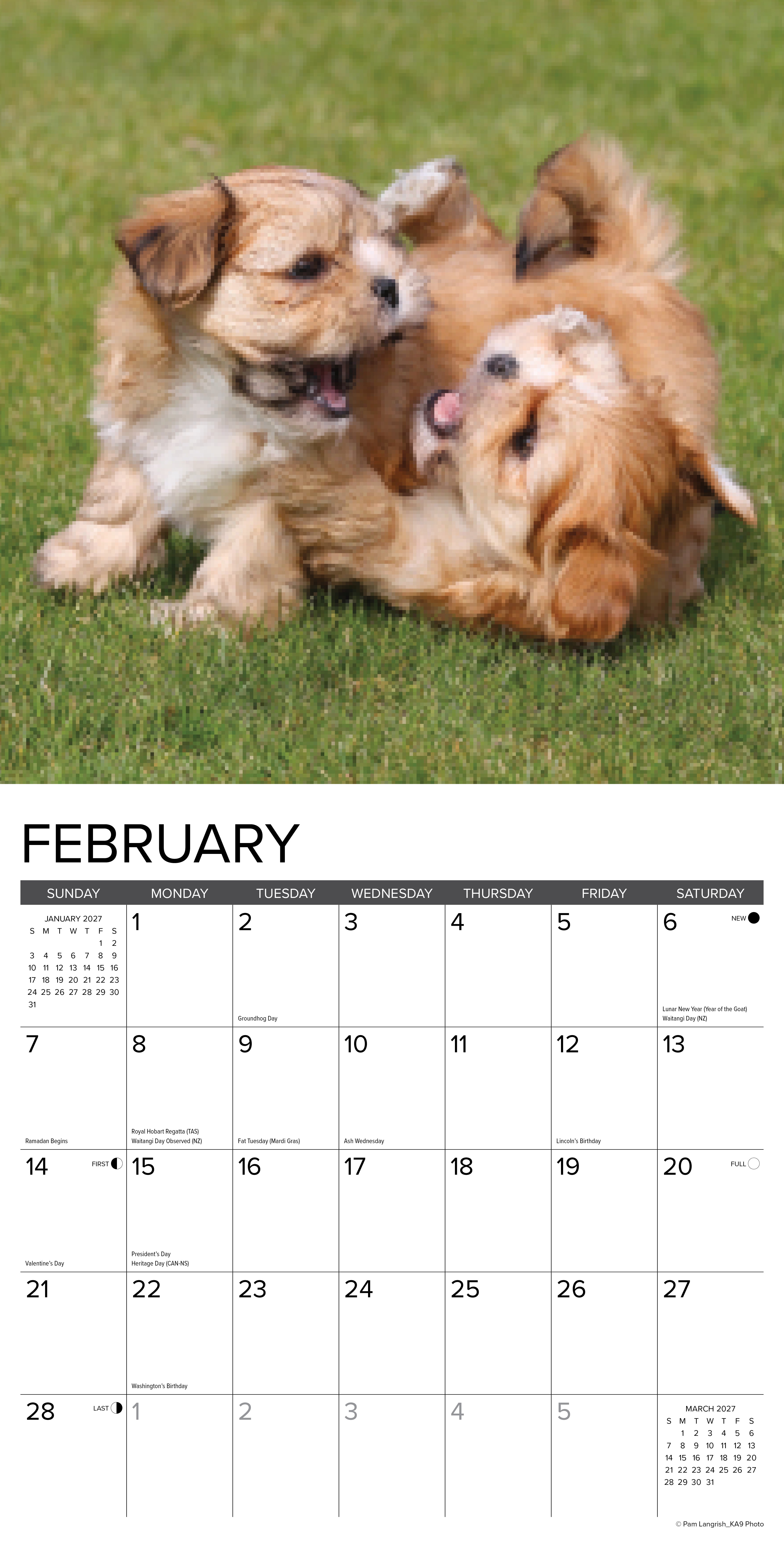 Willow Creek Press, Puppy Playmates 2027 Wall Calendar