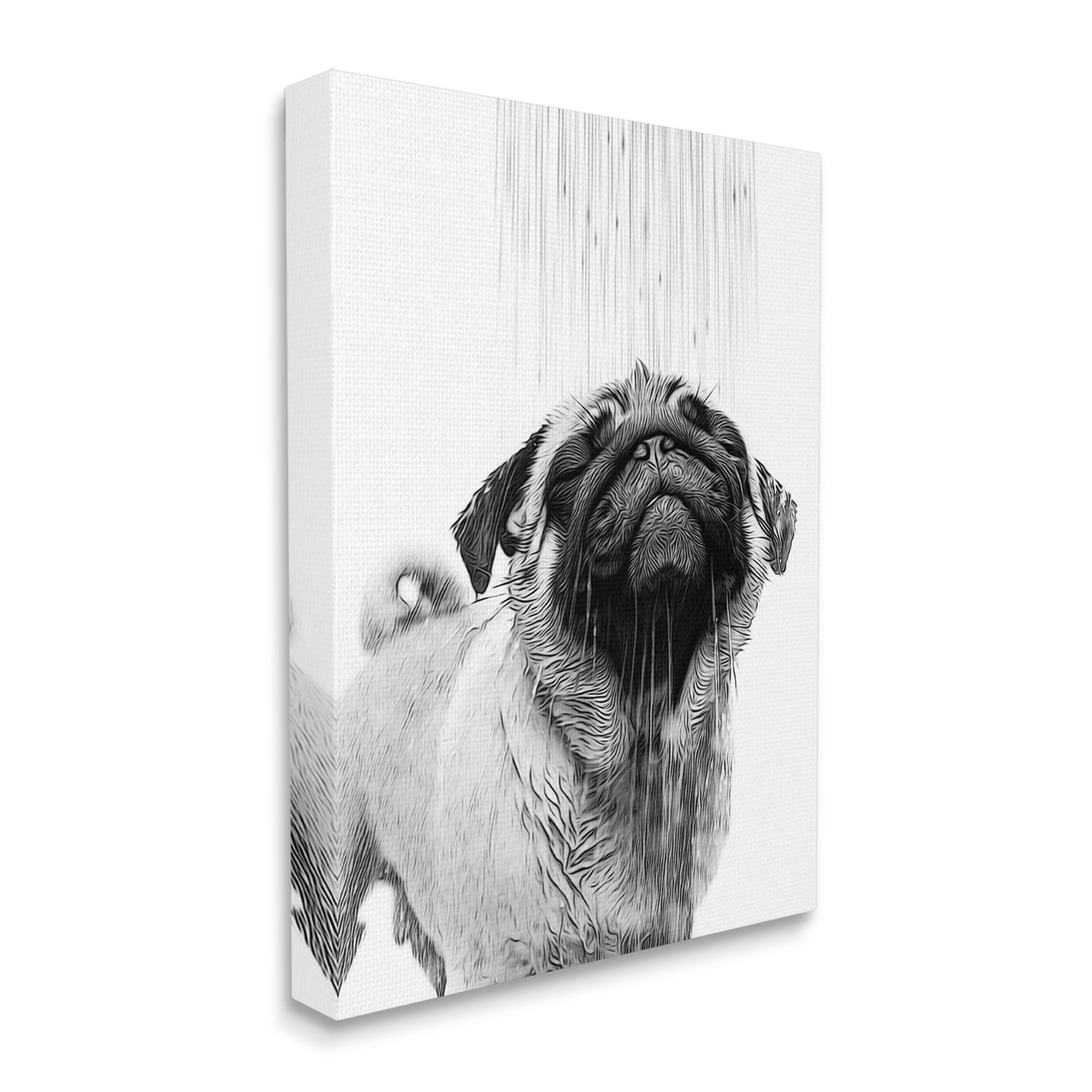 Stupell Industries Pug Bathroom Splash Animals & Insects Painting Gallery Wrapped Canvas Art Print Wall Art, 24 x 30