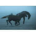 thumbnail image 2 of Wallberg, Allan 24x17 White Modern Wood Framed Museum Art Print Titled - Horses in the Fog, 2 of 4
