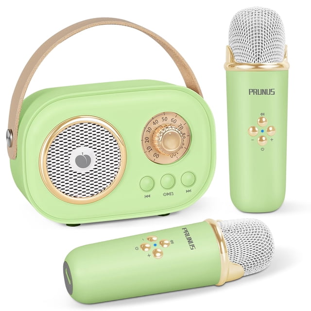 Máquina de karaoke PRUNUS Mini para niños y adultos con 2 micrófonos