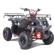 TaoTao D125 125cc Fully Automatic Mid Utility ATV
