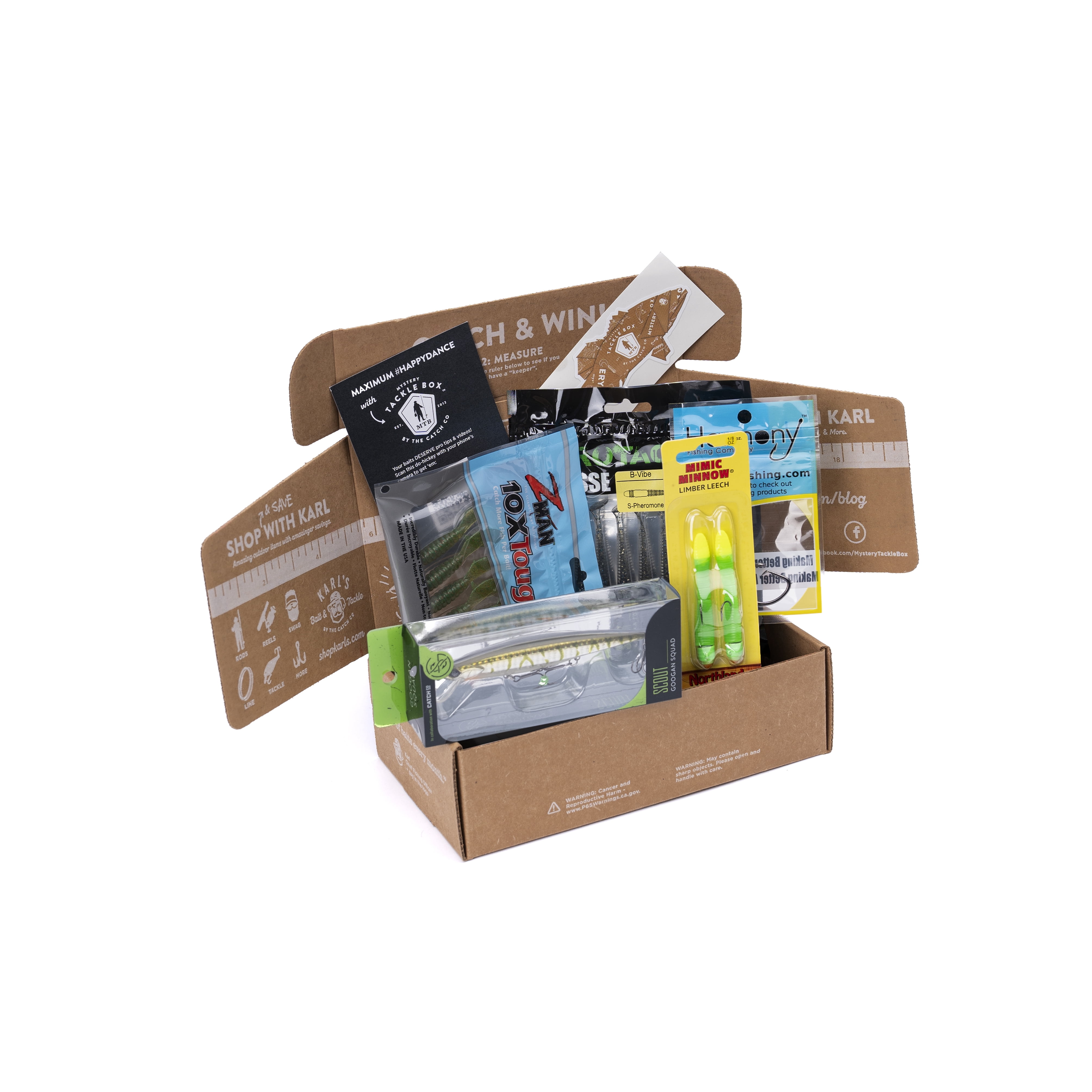 cardboard box fish Cardboard Box Aquarium