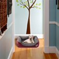thumbnail image 3 of Cama para perros, usada para perros, gatos, animales pequeños, color caramelo, lavable, suave, cálida, hecha de tela M oso de fresa Electrónica, 3 of 5