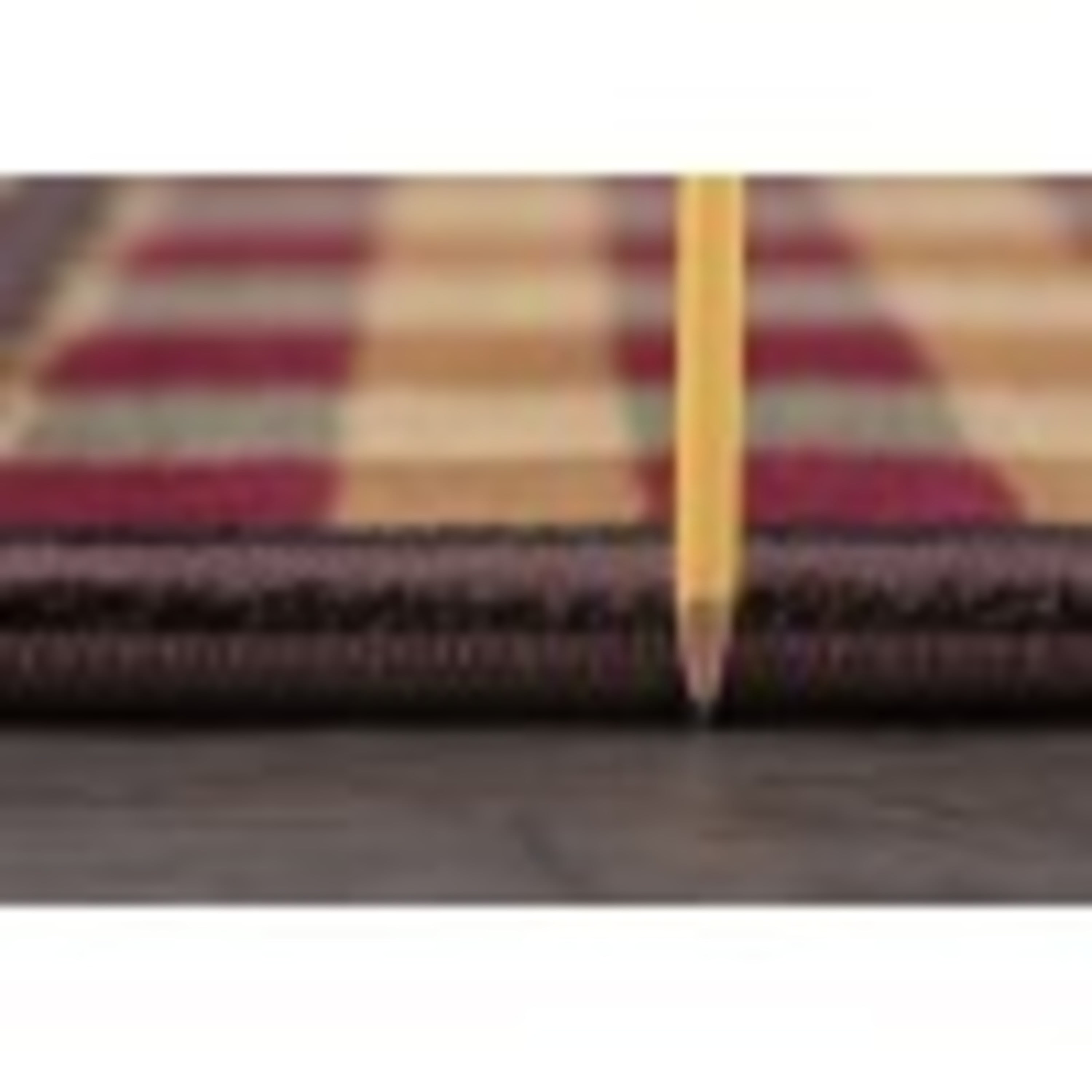 Nature Novelty 5' x 7' Multi-Color Polypropylene Indoor Area Rug