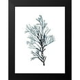 thumbnail image 2 of McCavitt, Naomi 12x14 Black Modern Framed Museum Art Print Titled - Seaweed Specimens on White IV, 2 of 5