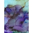 thumbnail image 2 of Troisi, Jonny 19x24 Gold Ornate Wood Framed with Double Matting Museum Art Print Titled - Colorful Evolution, 2 of 4