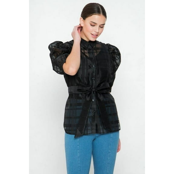 A See-thru Mini Length Organza Top