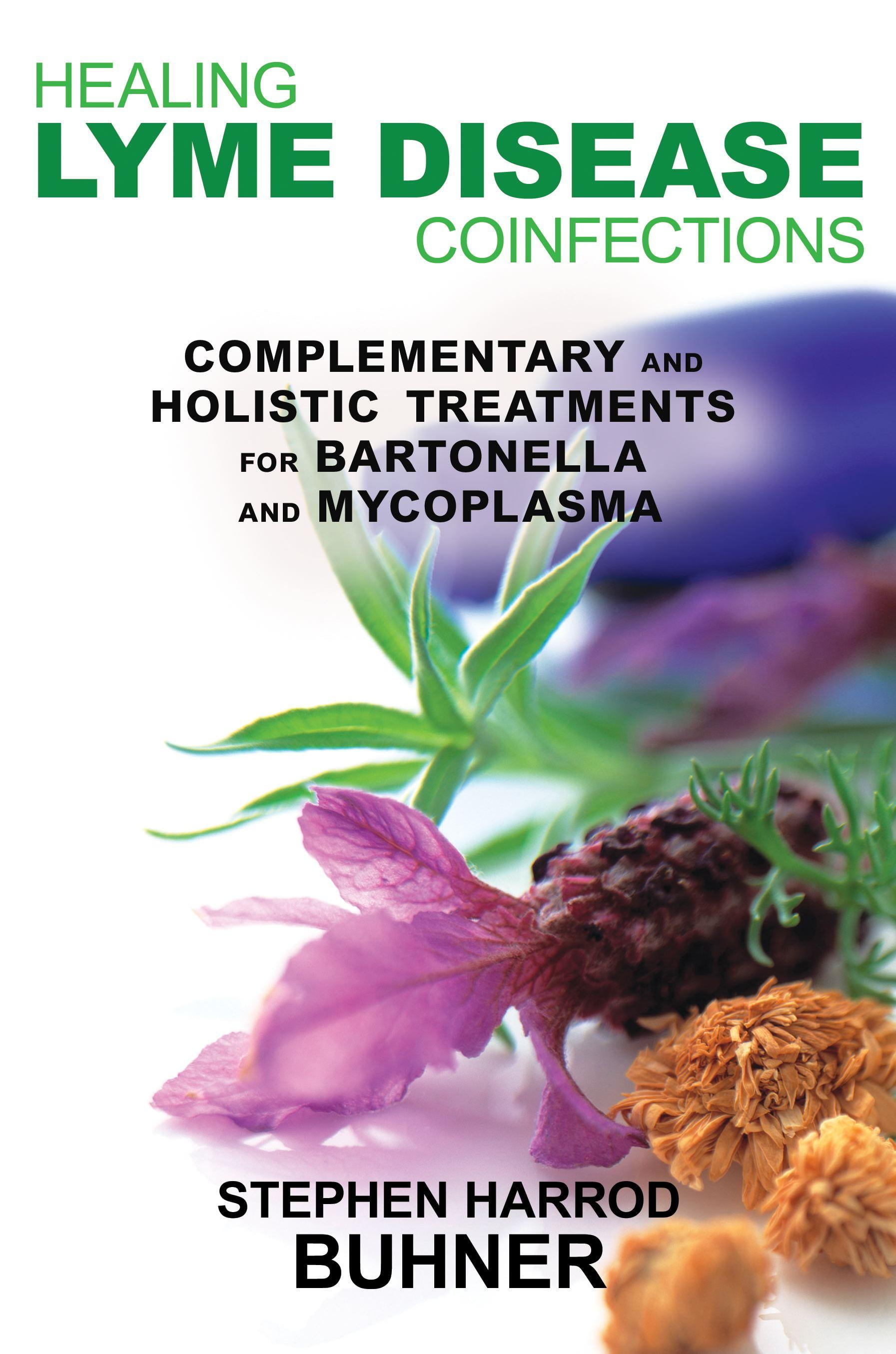 Healing Lyme Disease Coinfections Complementary and Holistic