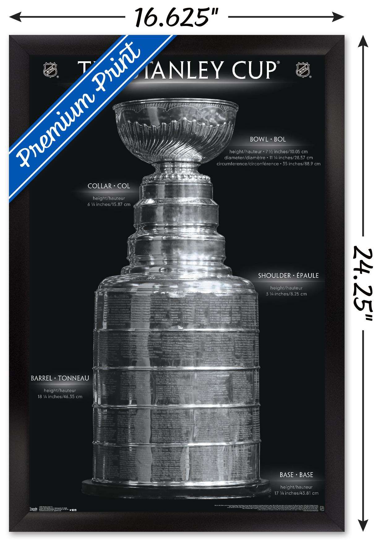 NHL League - Stanley Cup 16 Wall Poster, 14.725" x 22.375", Framed