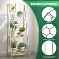 thumbnail image 2 of Plant Trellis WellSign, pequeño, para plantas en macetas, 40,5 cm, metal, 2 of 7