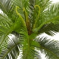 thumbnail image 5 of Nearly Natural 3' Cycas Artificial Tree in White Tower Planter, 5 of 5