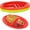 2Pcs/Style 1, variant on Wekvgz 12Pcs Plastic Taco Holder Versatile Taco Holder Plates Safe Taco Bar Serving Dishes Taco Plates with Dividers Colorful Taco Trays Easy to Clean Taco Plates for Taco Supplies