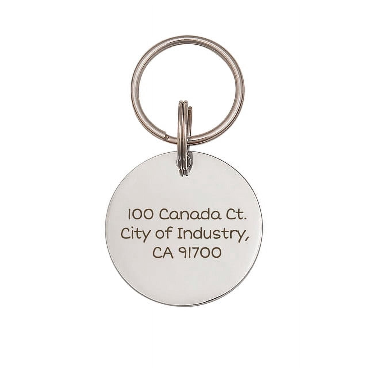 Anavia Stainless Steel Double Sided Round Name - Phone Number Engraved Dog & Cat ID Tag, Silver, L