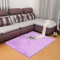 thumbnail image 2 of Polyester Plush Rug Soft Shaggy Carpet Home Floor Area Mat Decoration 60X40cm US, 2 of 5