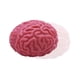 thumbnail image 5 of Pelota antiestrés de goma suave TPR para Halloween, juguete divertido y creativo para aliviar el estrés con simulación de persona real, 5 of 5