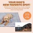 thumbnail image 4 of DGS Pet Products Chill Kuzzi FIR Blanket Large Grey 40" x 50" x 0.5", 4 of 7