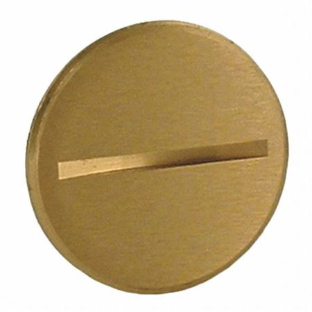 RACO 6208 Flush Plug,2-1/8",6285 6289 Cover