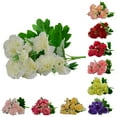 thumbnail image 6 of UDIYO 2Pcs Artificial Carnations with Stems Leaves Eternal Blossom Silk Carnation Flower Artificial Mini Hydrangea Birthday Party for Mother‘s Day’, Wedding, 6 of 6