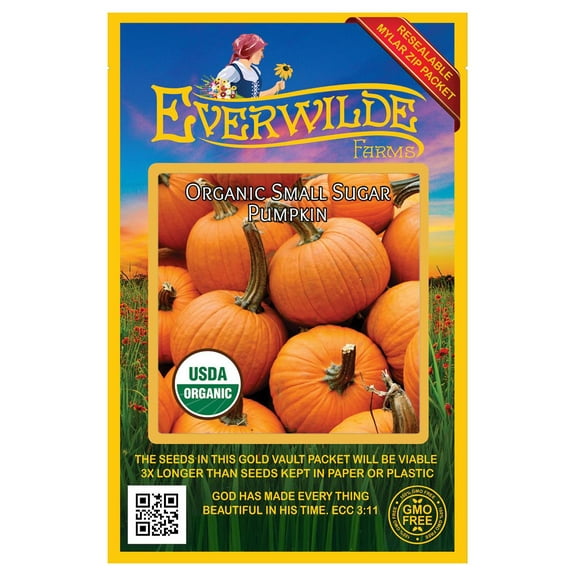 Everwilde Farms - 20 Organic Small Sugar Pumpkin Seeds - Gold Vault Jumbo Bulk Seed Packet