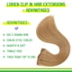 thumbnail image 2 of Extensiones de cabello humano real LORIEN con clip, 20 cm, 105 g, 2 of 6