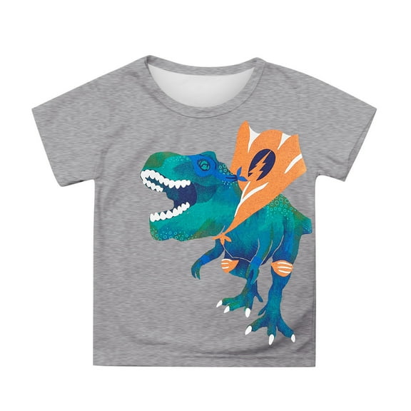 Hiijoy Toddler Boys Graphic Tee Dinosaur Print Short Sleeve T-Shirt Summer Casual Tshirt, Sizes 3-13