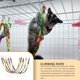 thumbnail image 3 of Greeniant 2 Pieces Bird Hanging Rope Toy Universal Climbing Plaything Simple Toys Pets Swing Ropes Standing Structure Interesting Type3, 3 of 6